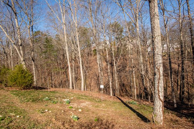 6747 Sawtooth Drive, Ooltewah, TN 37363