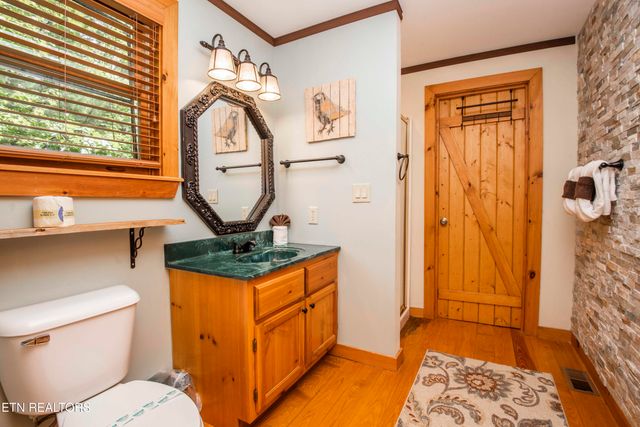 218 Ace Gap Rd, Townsend, TN 37882