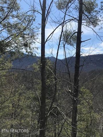 218 Ace Gap Rd, Townsend, TN 37882