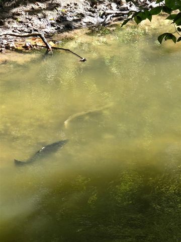 840 Black River Road, Bangor, MI 49013