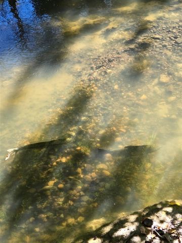 840 Black River Road, Bangor, MI 49013