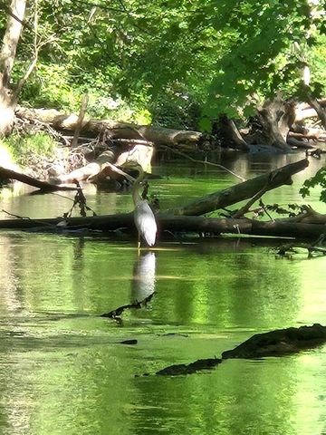 840 Black River Road, Bangor, MI 49013