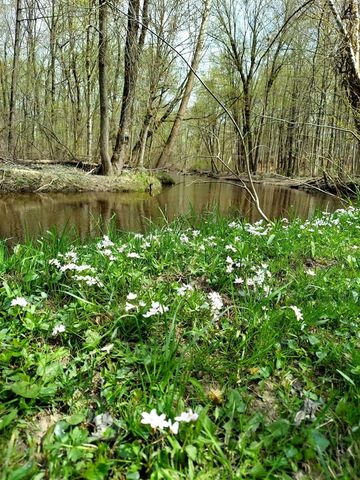 840 Black River Road, Bangor, MI 49013