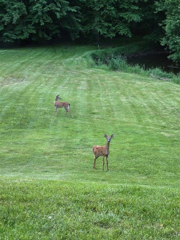 840 Black River Road, Bangor, MI 49013