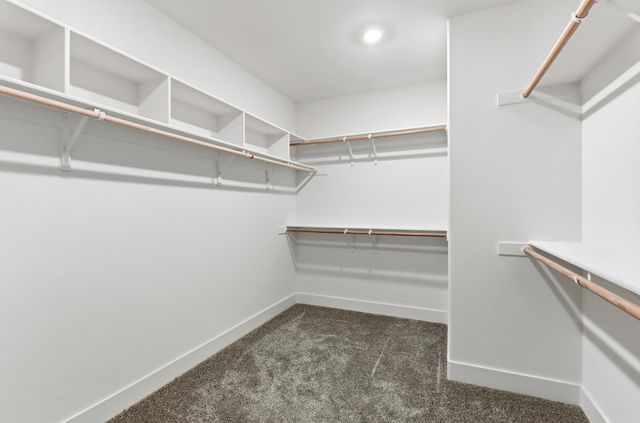 10589 Tenor Way, Elk Grove, CA 95757