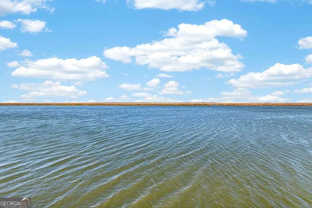 493 Dover Island Trail, Waverly, GA 31565