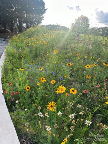 213 Sandy Creek Court, Hendersonville, NC 28792