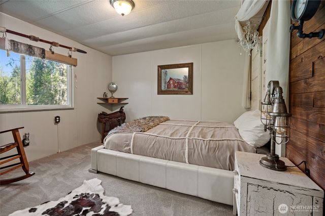 271 Skate Creek Road, Ashford, WA 98304