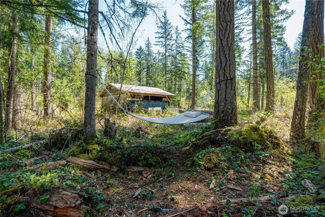 271 Skate Creek Road, Ashford, WA 98304