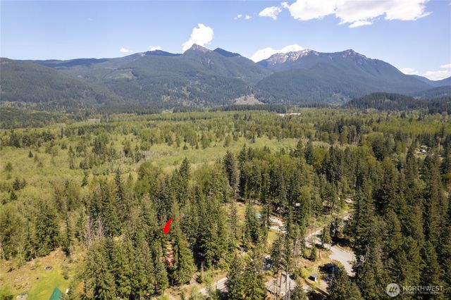 271 Skate Creek Road, Ashford, WA 98304