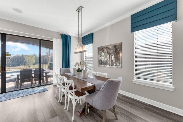 1181 CASTLE PINES COURT, Reunion, FL 34747