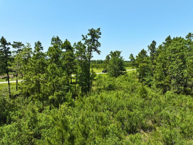 1 Lost Creek Road, Lovelady, TX 75851