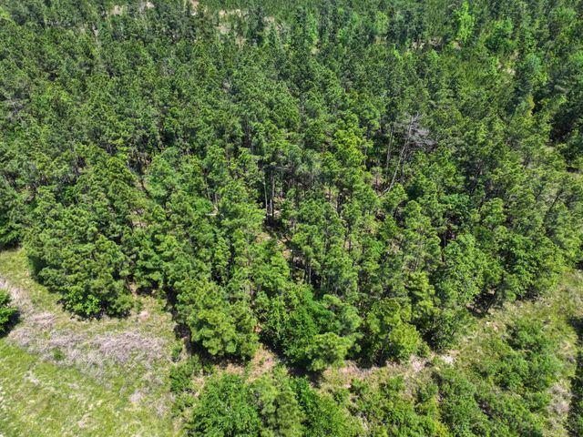 1 Lost Creek Road, Lovelady, TX 75851