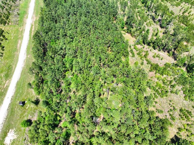 1 Lost Creek Road, Lovelady, TX 75851