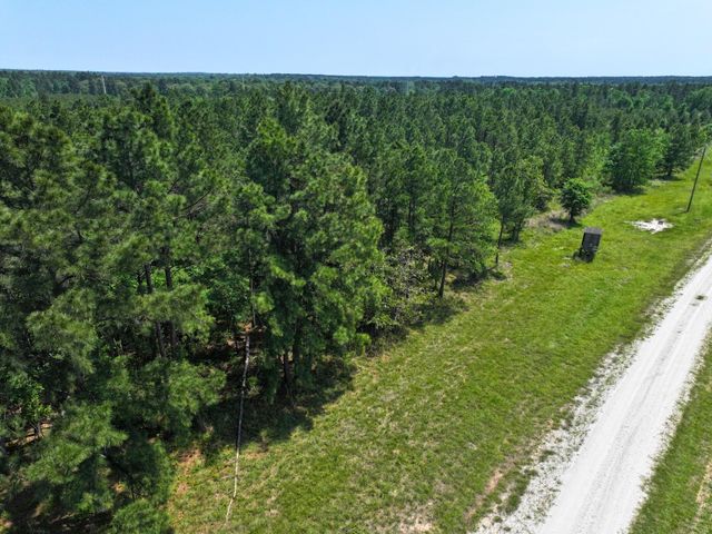 1 Lost Creek Road, Lovelady, TX 75851