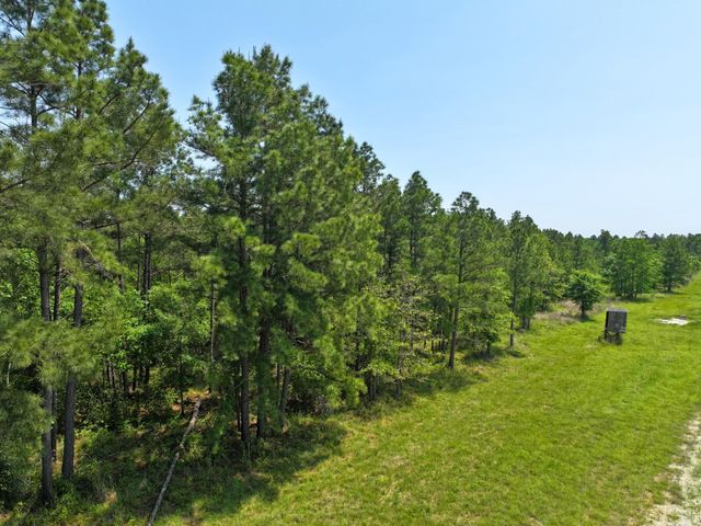1 Lost Creek Road, Lovelady, TX 75851