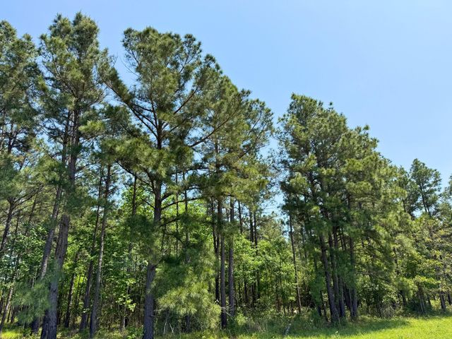 1 Lost Creek Road, Lovelady, TX 75851