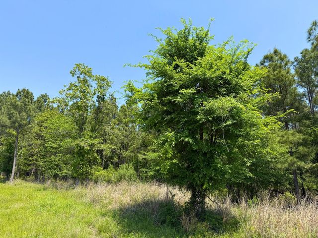 1 Lost Creek Road, Lovelady, TX 75851