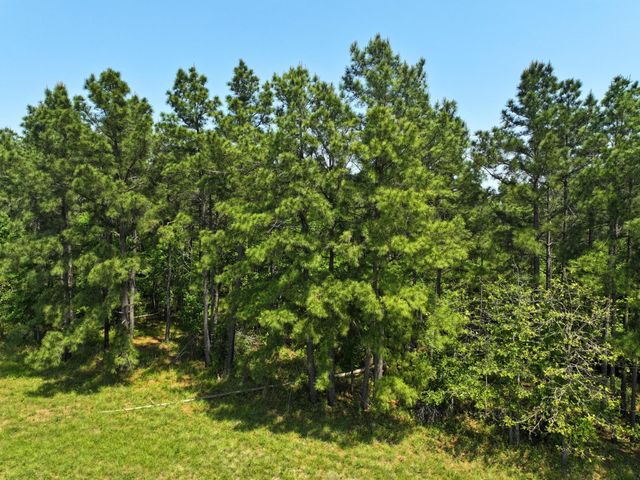 1 Lost Creek Road, Lovelady, TX 75851