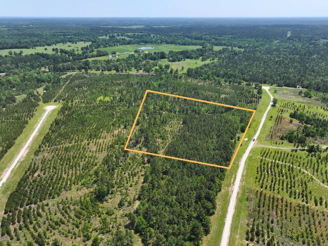 1 Lost Creek Road, Lovelady, TX 75851