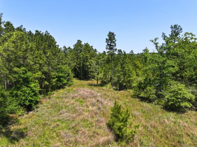 1 Lost Creek Road, Lovelady, TX 75851