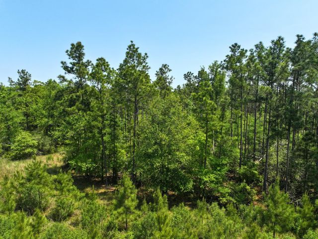 1 Lost Creek Road, Lovelady, TX 75851