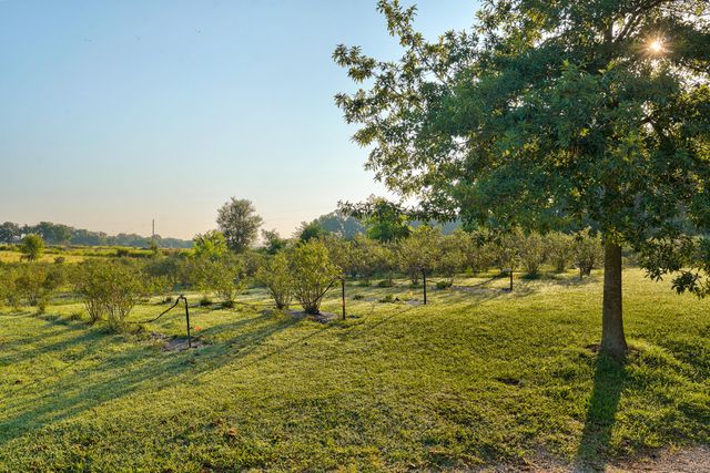 5313 S Farm Road 241, Rogersville, MO 65742