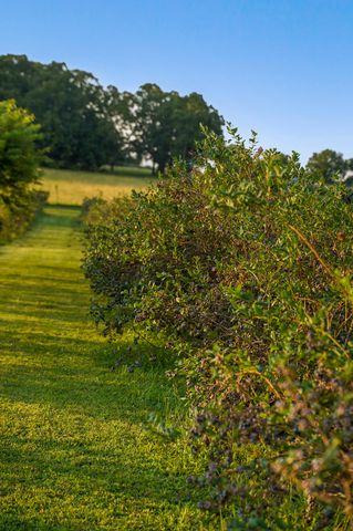 5313 S Farm Road 241, Rogersville, MO 65742