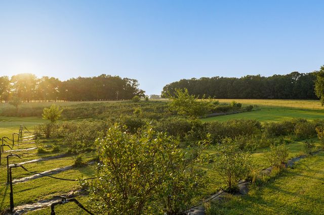 5313 S Farm Road 241, Rogersville, MO 65742