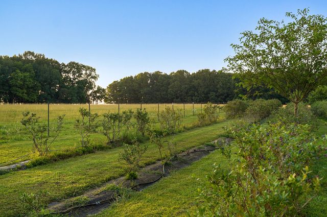 5313 S Farm Road 241, Rogersville, MO 65742