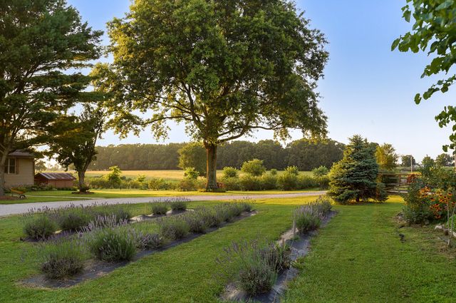 5313 S Farm Road 241, Rogersville, MO 65742