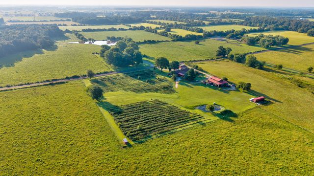 5313 S Farm Road 241, Rogersville, MO 65742