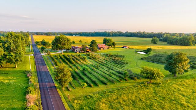 5313 S Farm Road 241, Rogersville, MO 65742
