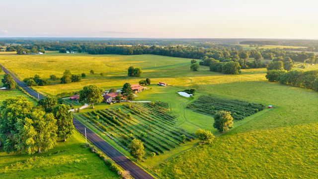 5313 S Farm Road 241, Rogersville, MO 65742