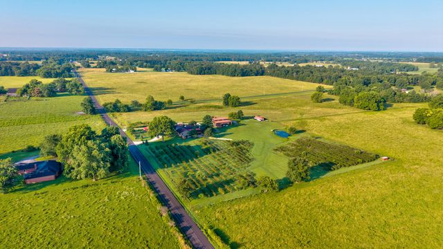 5313 S Farm Road 241, Rogersville, MO 65742