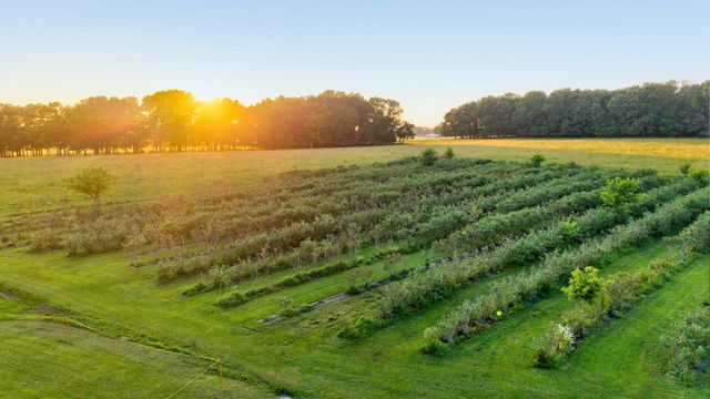 5313 S Farm Road 241, Rogersville, MO 65742