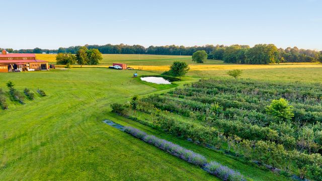 5313 S Farm Road 241, Rogersville, MO 65742