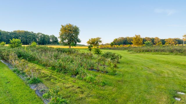 5313 S Farm Road 241, Rogersville, MO 65742