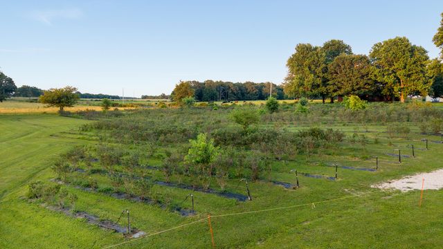 5313 S Farm Road 241, Rogersville, MO 65742