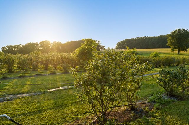 5313 S Farm Road 241, Rogersville, MO 65742
