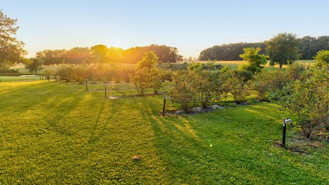 5313 S Farm Road 241, Rogersville, MO 65742