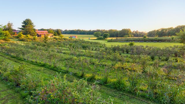 5313 S Farm Road 241, Rogersville, MO 65742