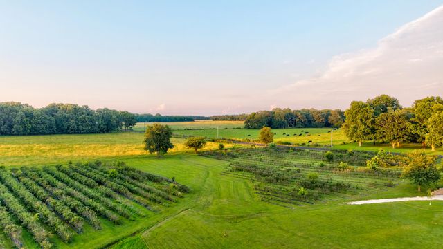 5313 S Farm Road 241, Rogersville, MO 65742