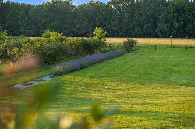 5313 S Farm Road 241, Rogersville, MO 65742