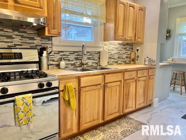 727 E CENTRAL PARK Avenue, Davenport, IA 52803