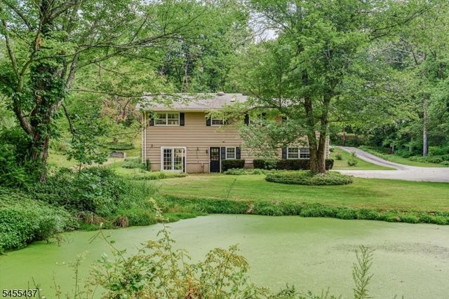 10 Longbridge Rd, Frankford Twp., NJ 07826