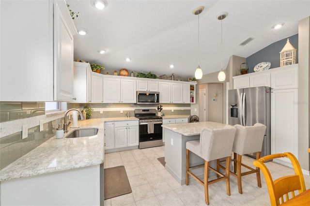 1678 GOVAN PLACE, The Villages, FL 32162