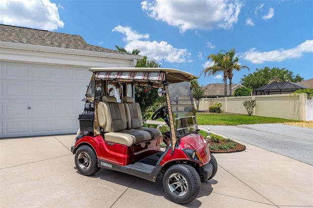 1678 GOVAN PLACE, The Villages, FL 32162