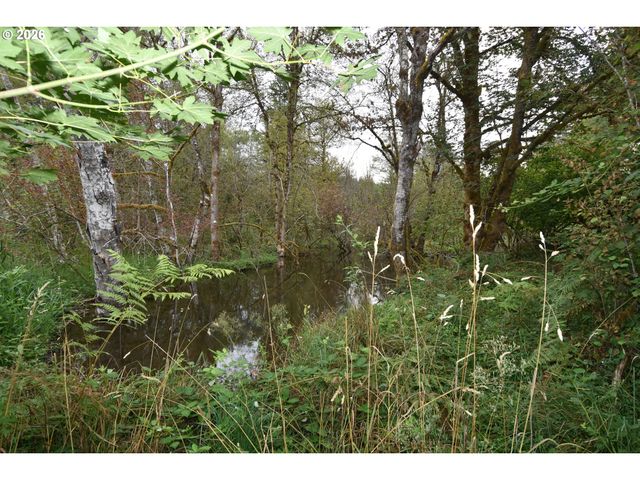 22515 Ne DOLE VALLEY Rd, Yacolt, WA 98675