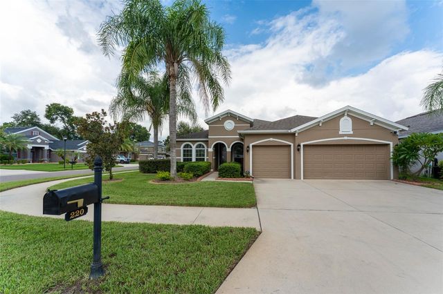 220 PARSONS WOODS DRIVE, Seffner, FL 33584